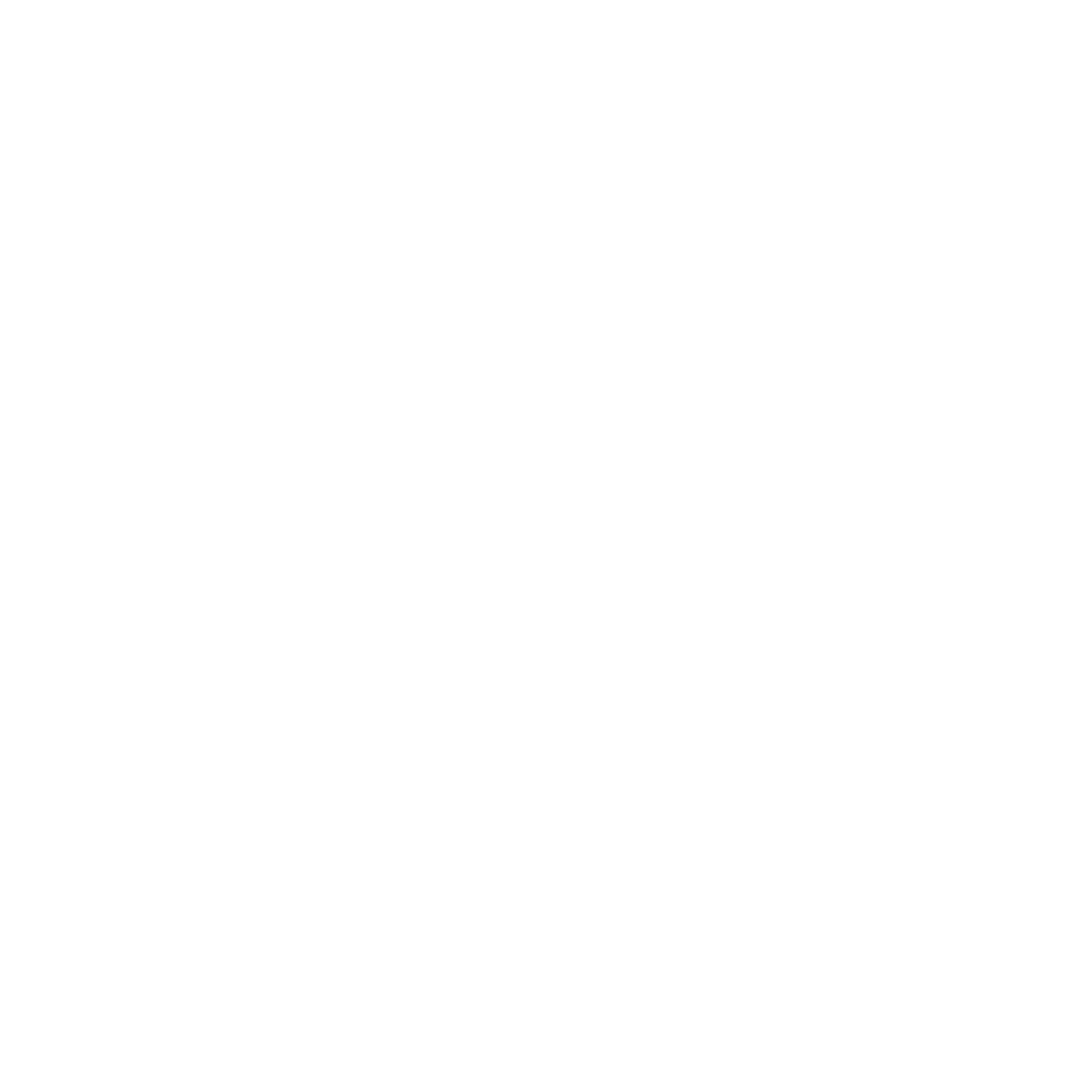 RB icon support e newsletter white