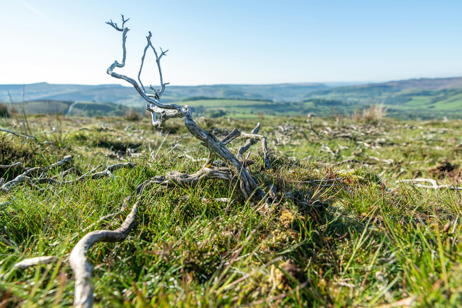 2021 05 2627 Sam Rose RB Peak District Bamford Edge s RGB 300dpi 2000px long 4100