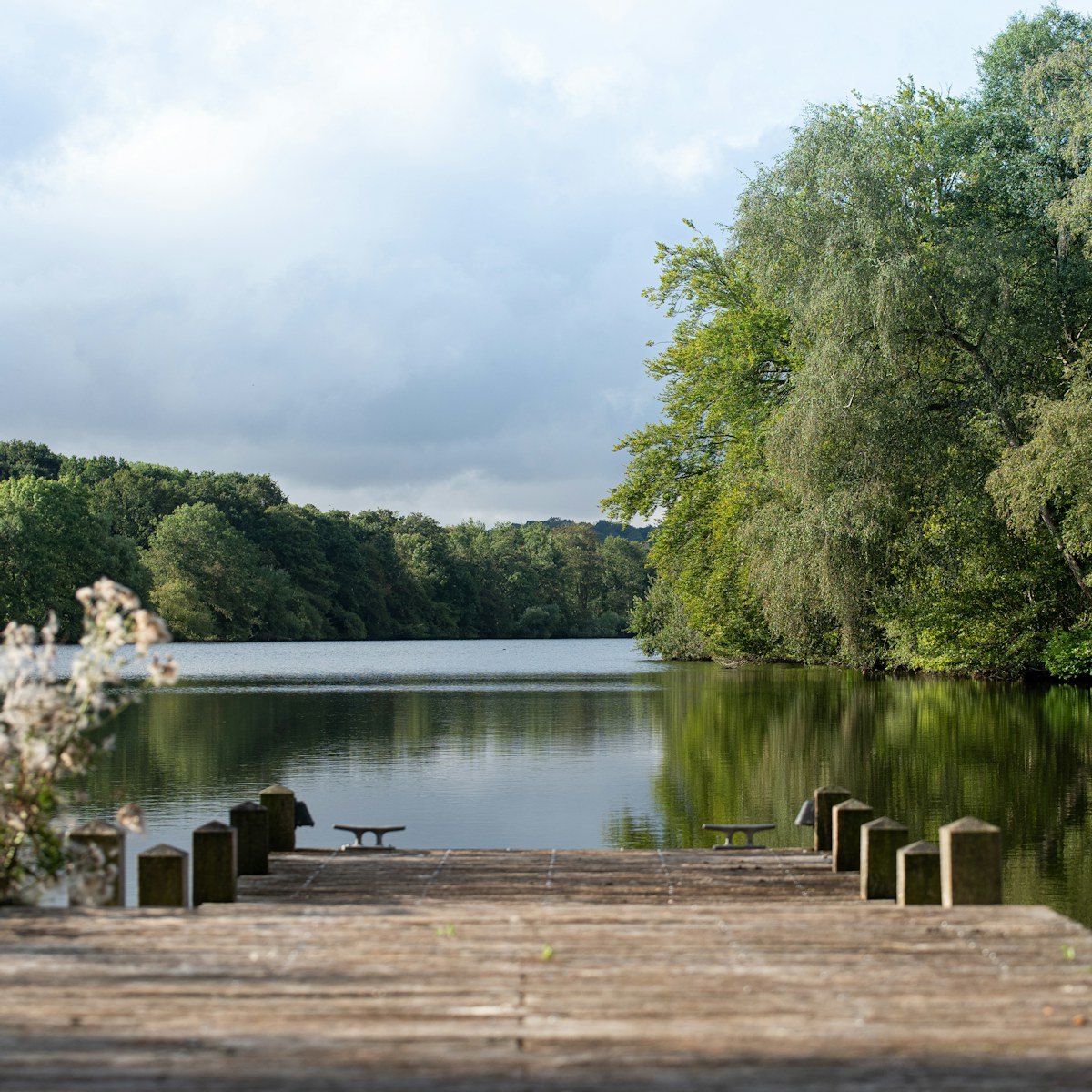 202108 Ewhurst Park Summer 011 LRG
