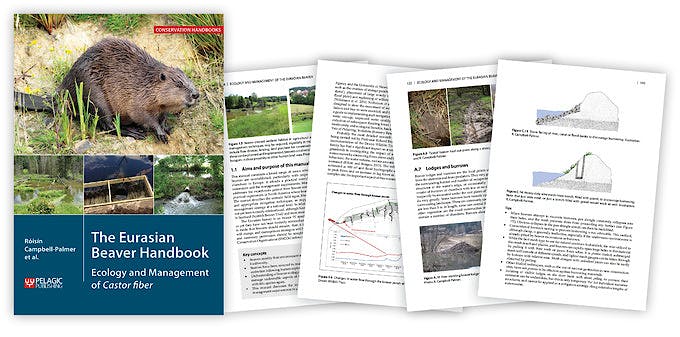 Beaver guide pages 3db6d0a8c65e0add717eef0d21a3ff3b