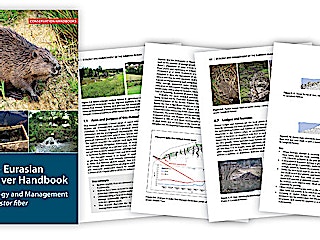 Beaver guide pages 3db6d0a8c65e0add717eef0d21a3ff3b