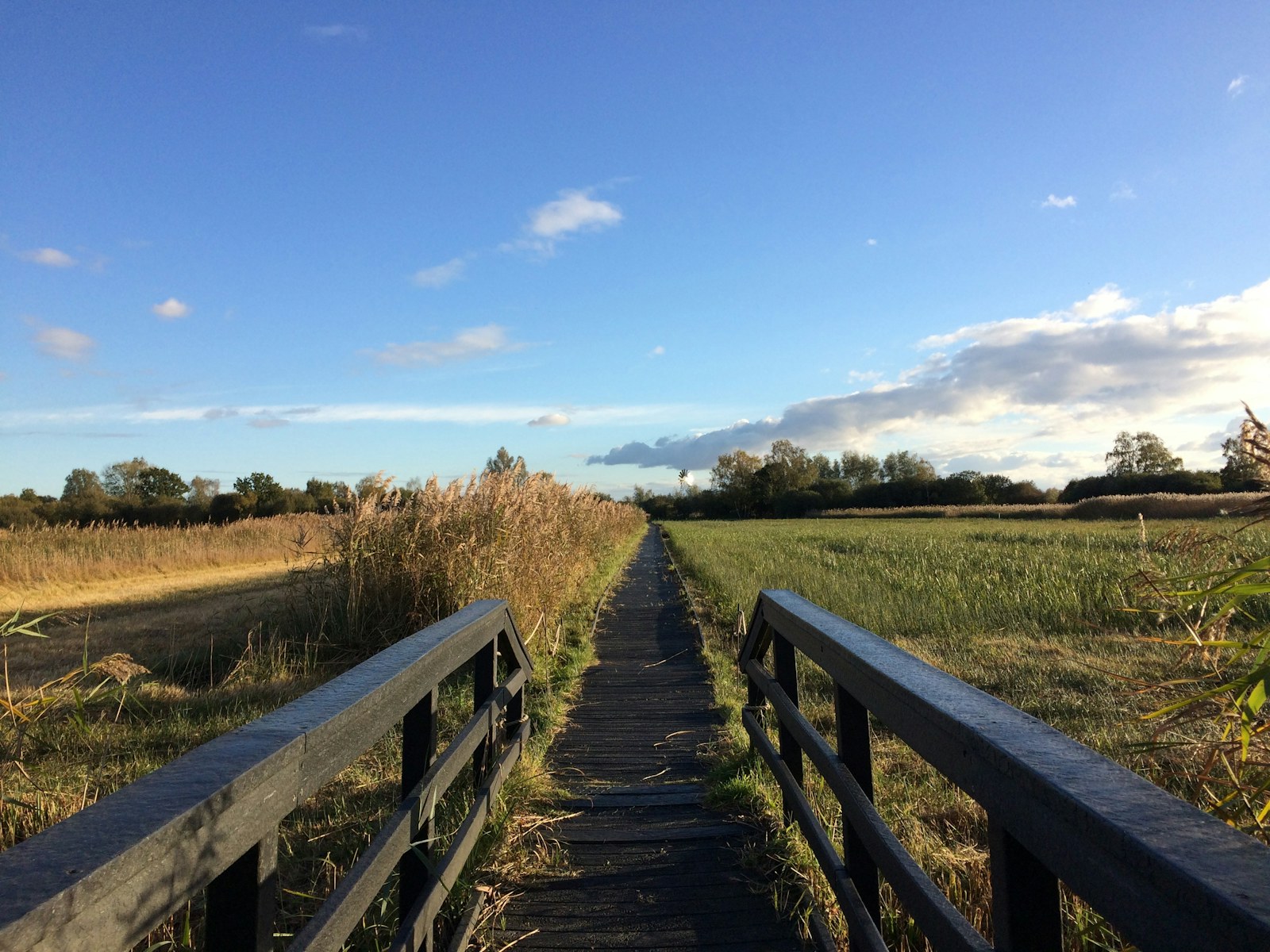 Credit: Wicken Fen, Glynis Pierson