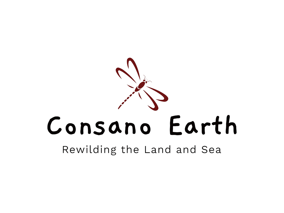 Consano Earth