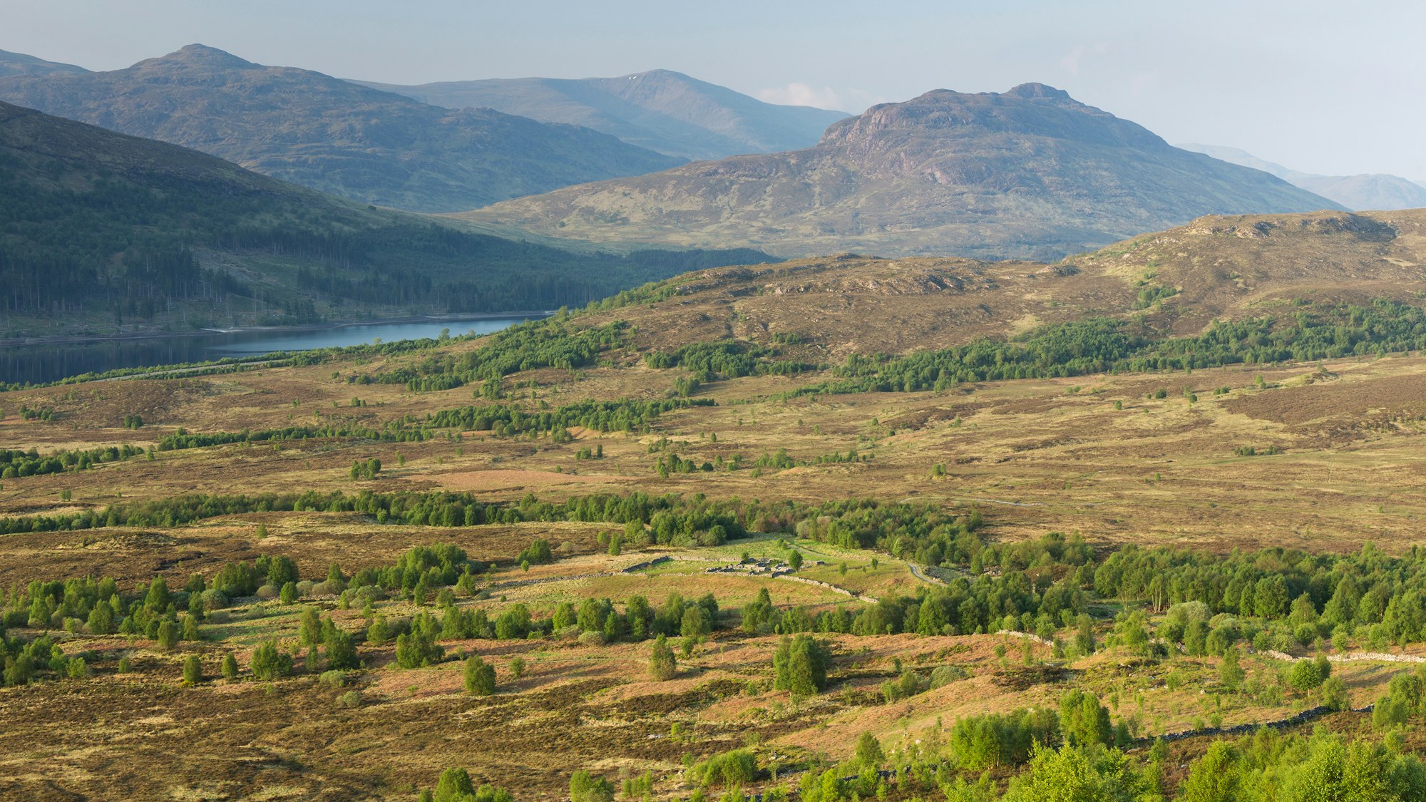 Creag Meagaidh SBP MH