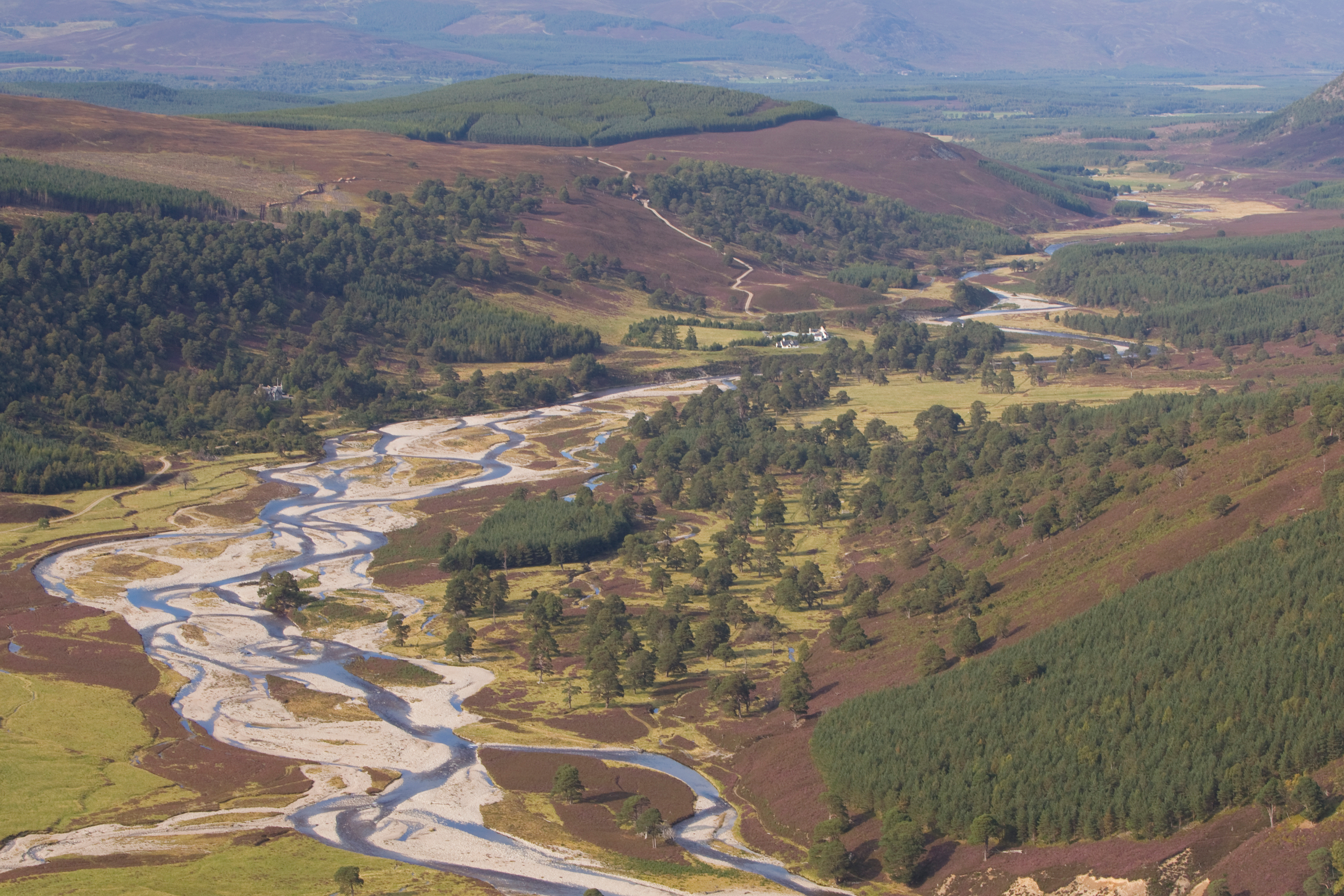 Defining Rewilding | Rewilding Britain