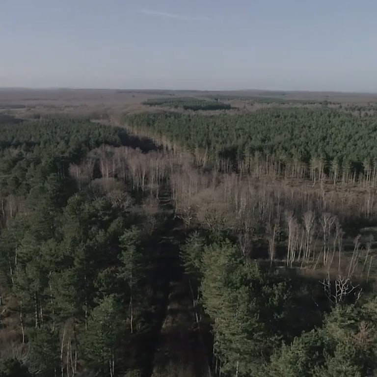 Drone1