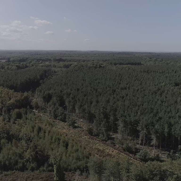 Drone3
