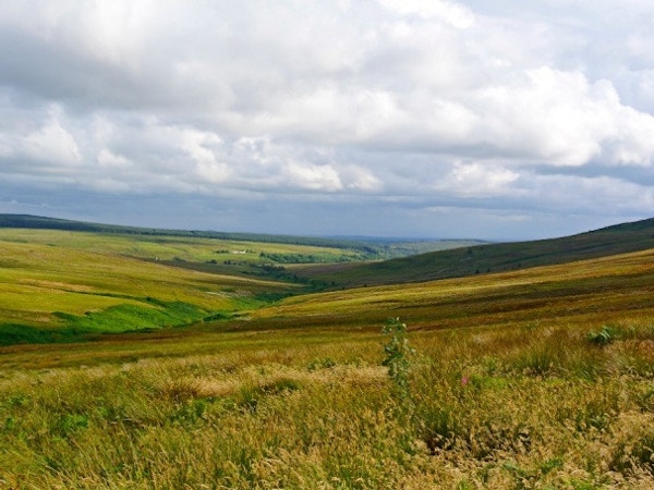 Langholm Moor Tom Hutton 9c826e7a408806c4ea6b40b0d37e4d42