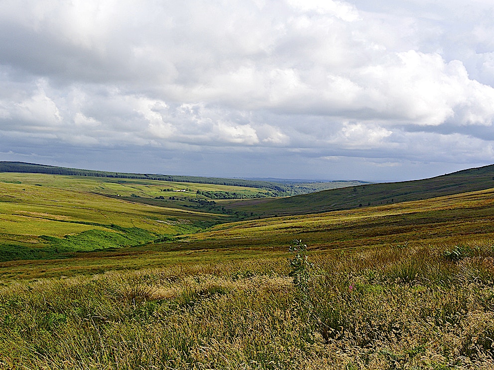 Langholm Moor copyright Tom Hutton