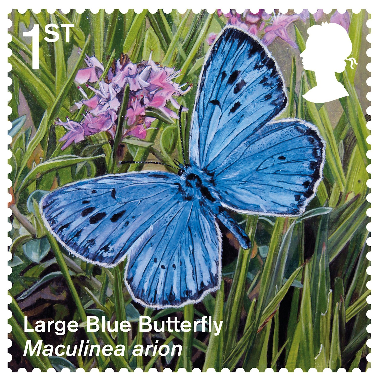 Large Blue Butterfly Stamp
