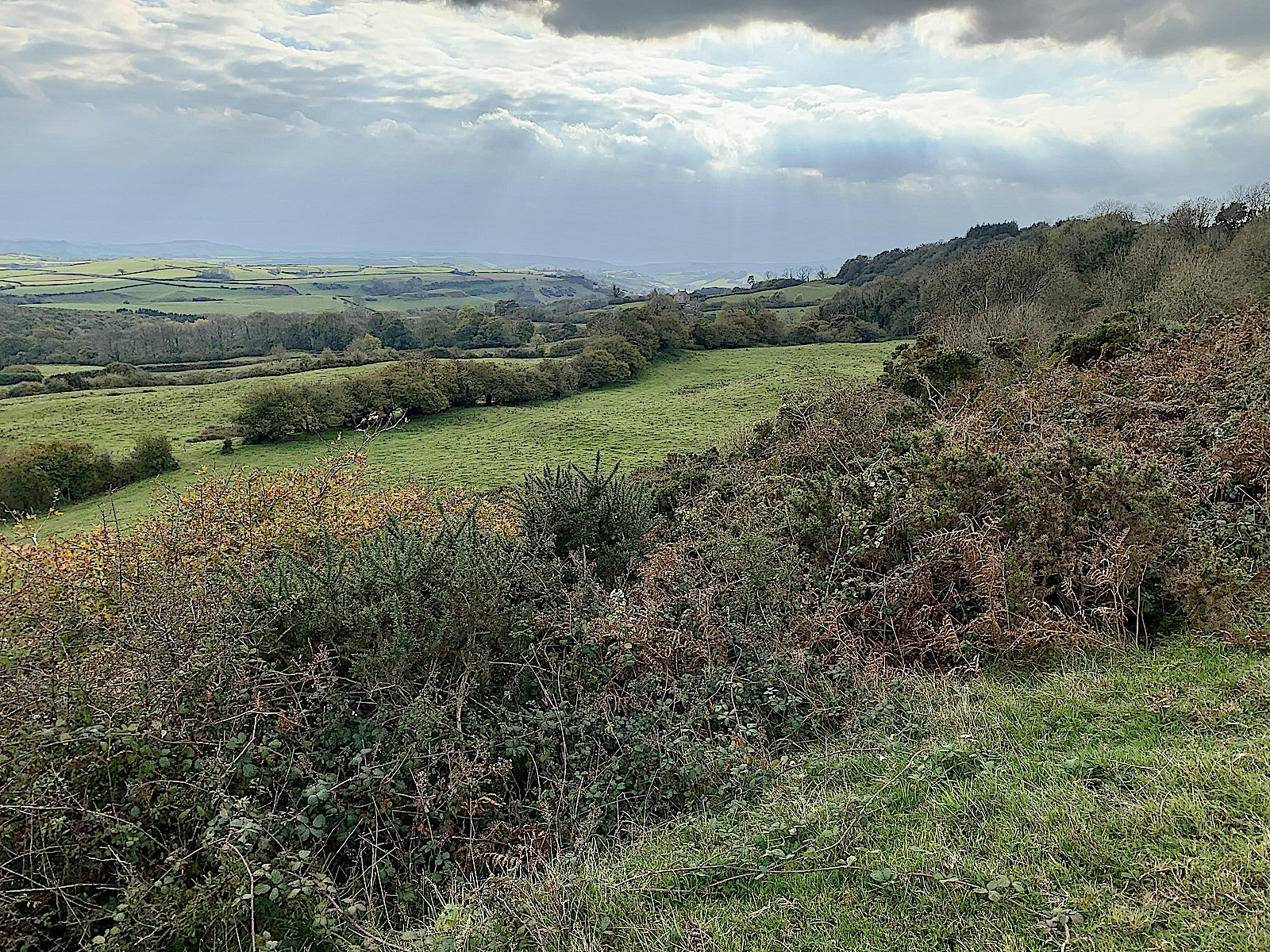 Mapperton 3