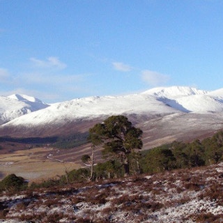 Credit: National Trust for Scotland