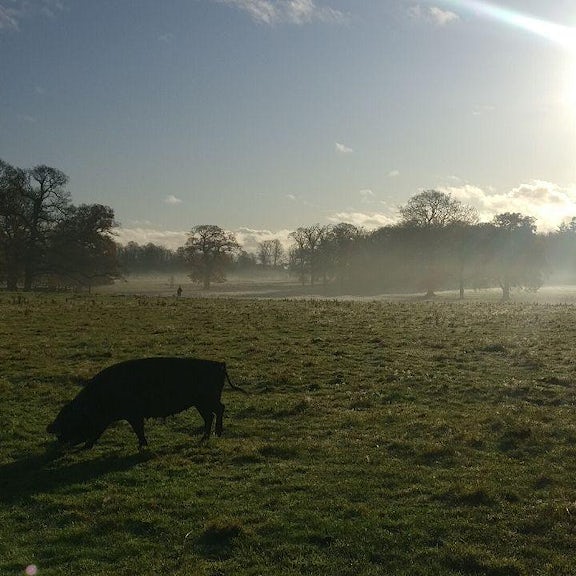 Credit: Wild Somerleyton