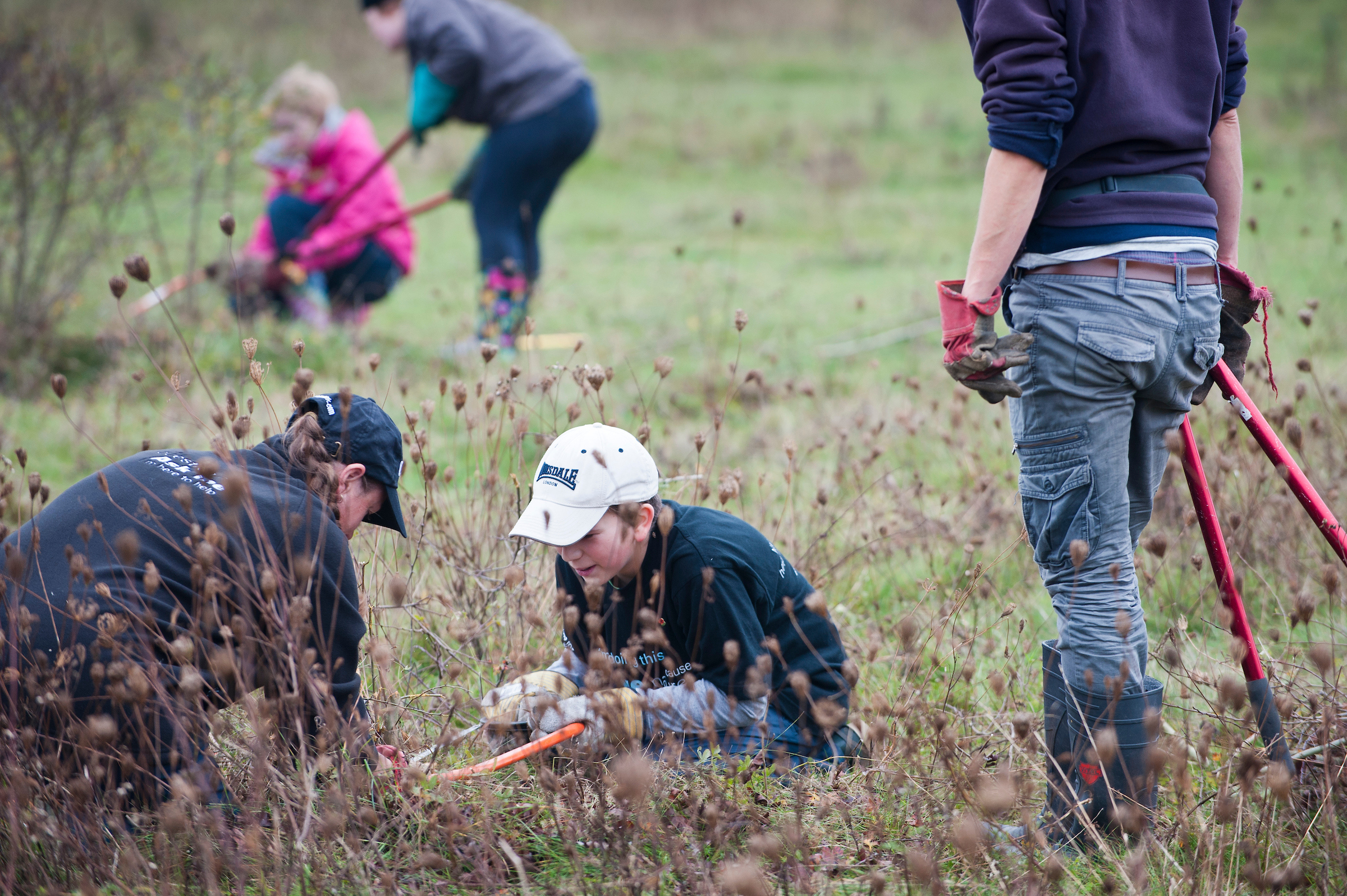 The Rewilding Network | Rewilding Britain