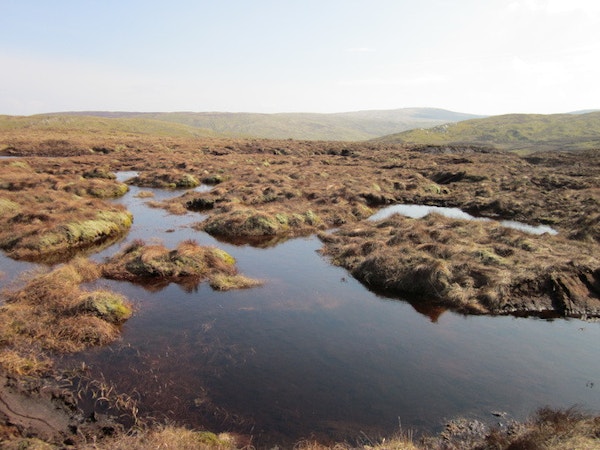 Peatland restoration 6eba6d2ba7689339ce74a9d217ebdc75