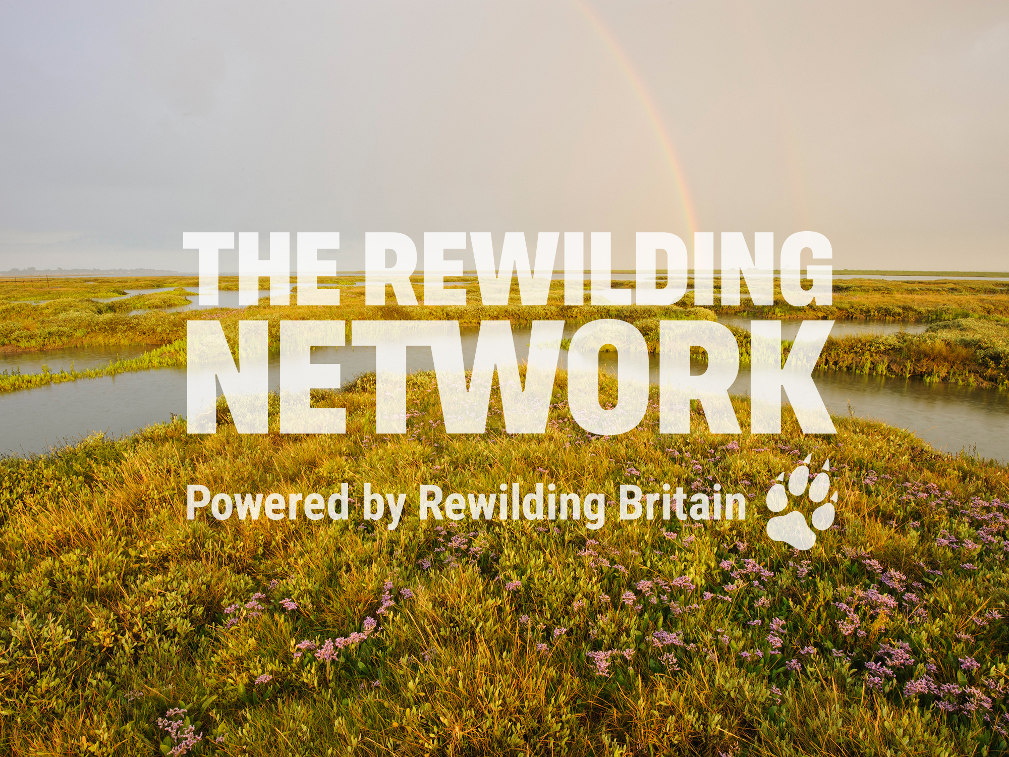 Rewilding Britain In Five Years | Rewilding Britain