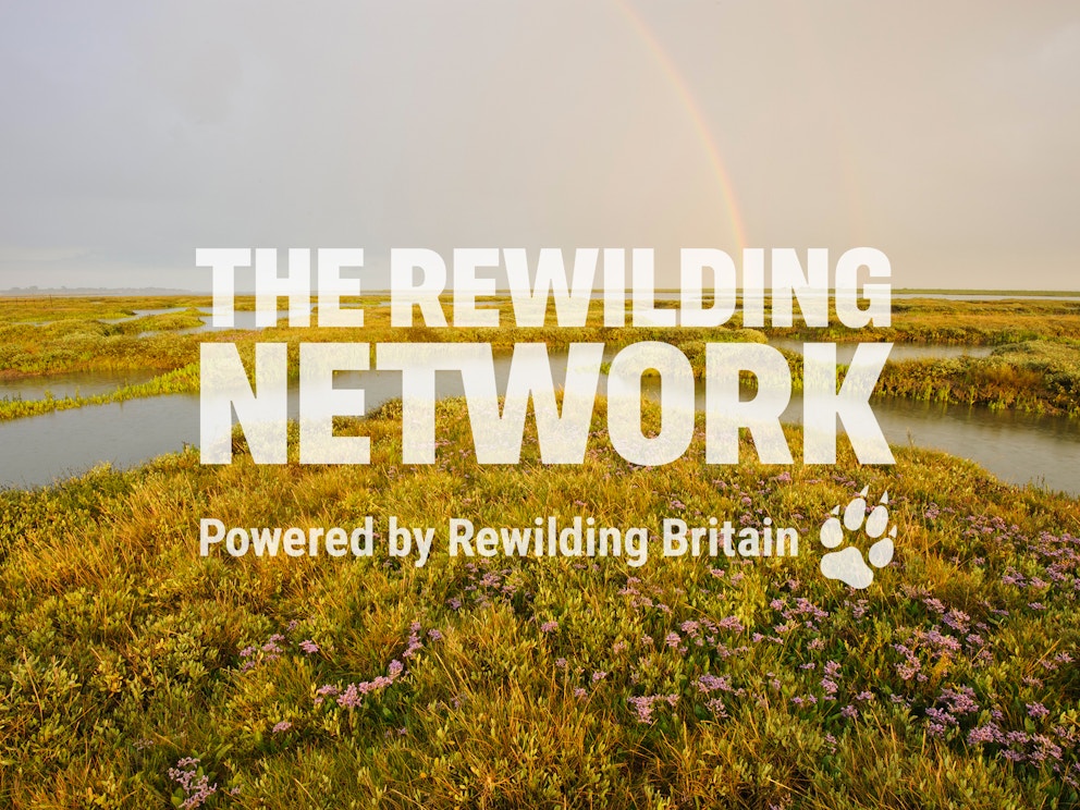 RB teaser Rewilding Network