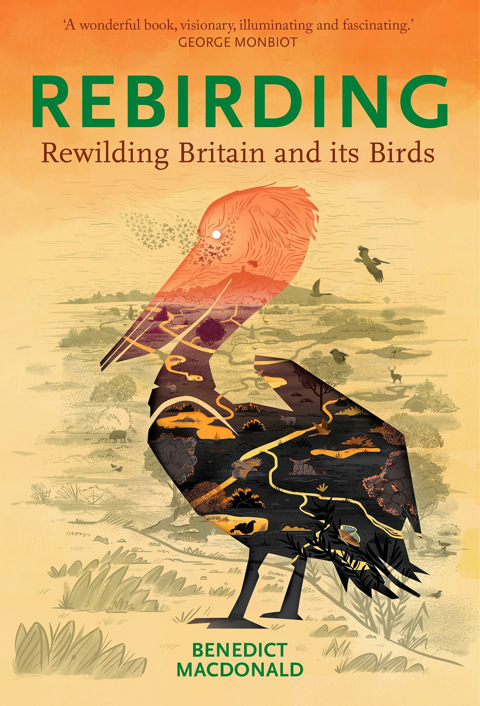 Rebirding Rewilding Britain and its Birds Macdonald front cover