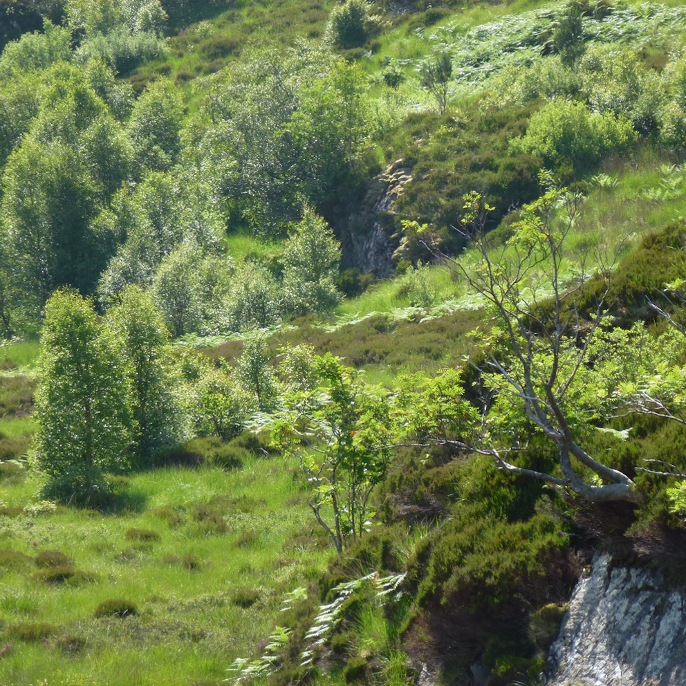 Credit: John Muir Trust