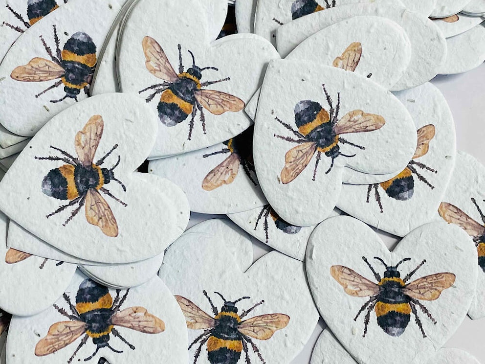 UK Seed Paper