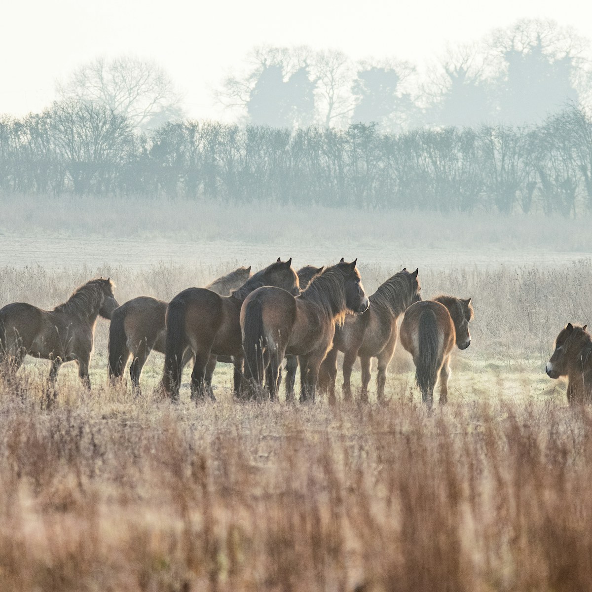 West Acre Estate 25