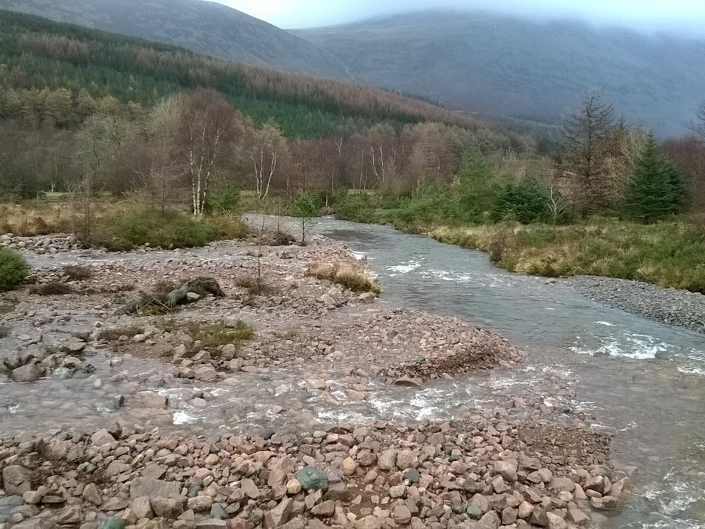 Credit: Wild Ennerdale