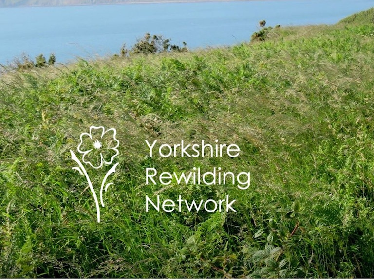 Yorkshire rewilding network