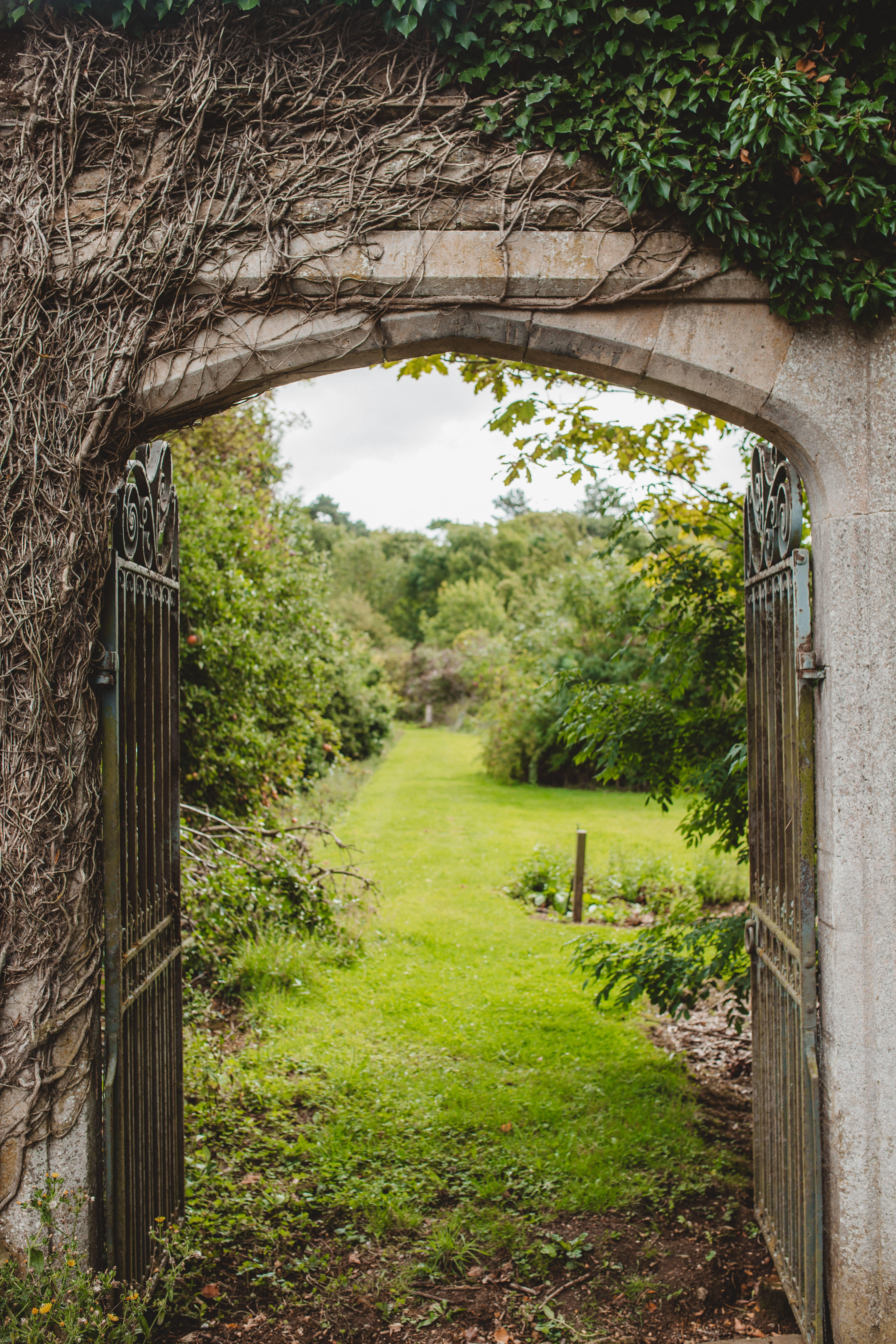 Ashton Estate Rewilding Project Rewilding Britain