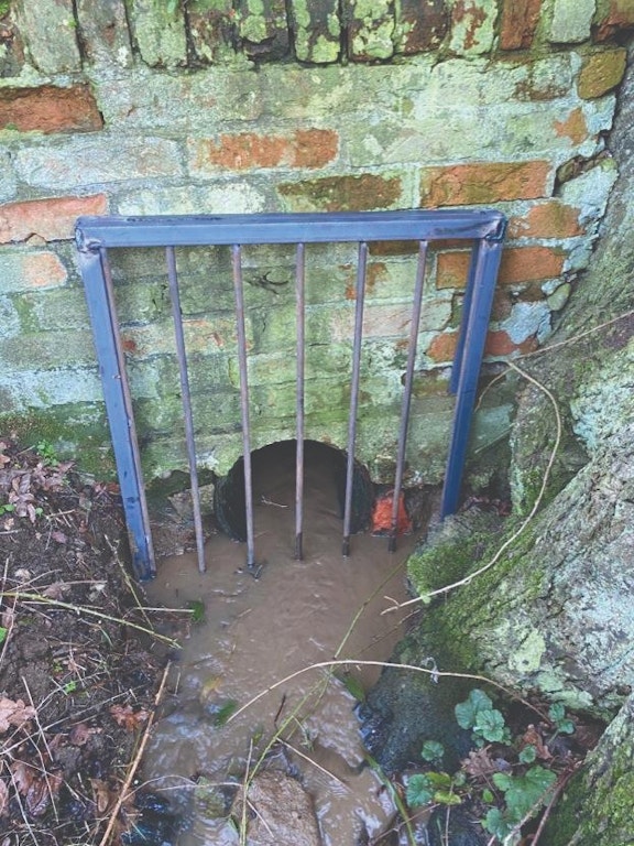 Beaver proof fencing
