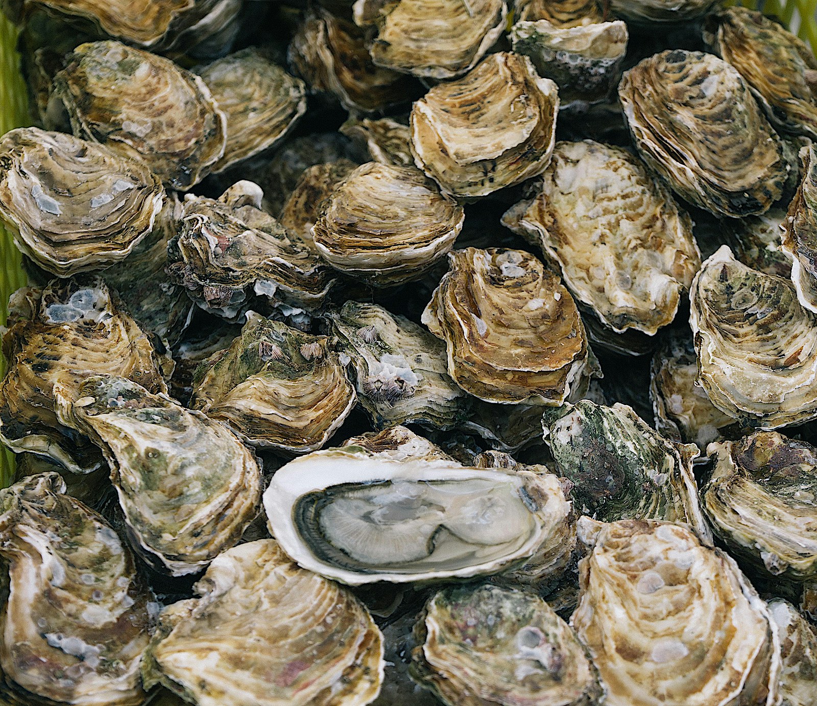 Ben stern 4n96ly Jd2 Xs unsplash