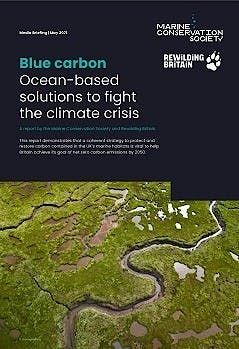Blue carbon front cover