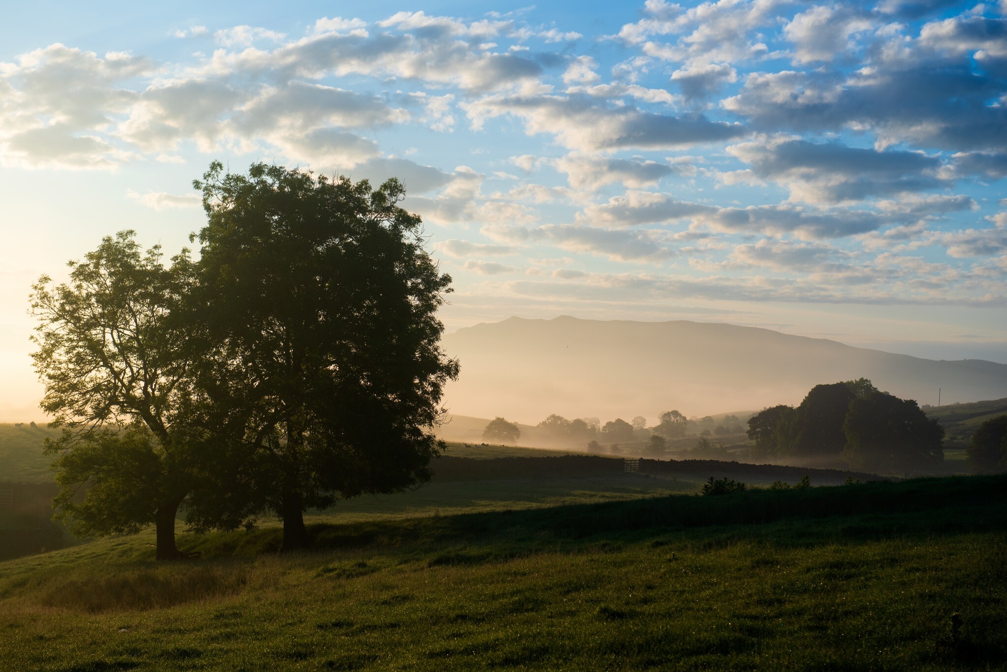 Local Rewilding Networks | Rewilding Britain