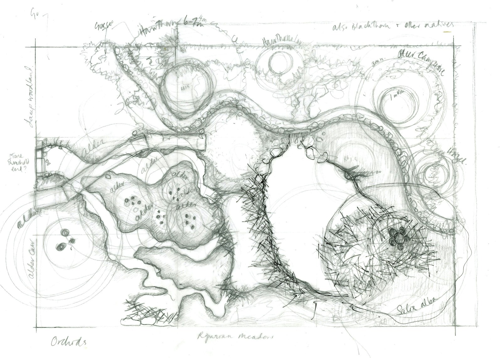 Chelsea garden sketch