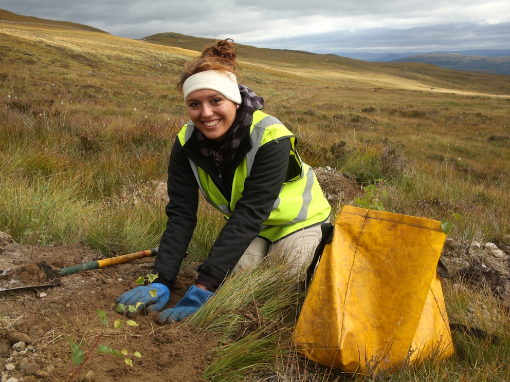 Dundreggan tree planting