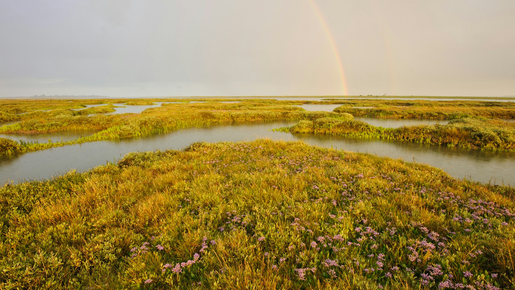 Estuary SBP TW