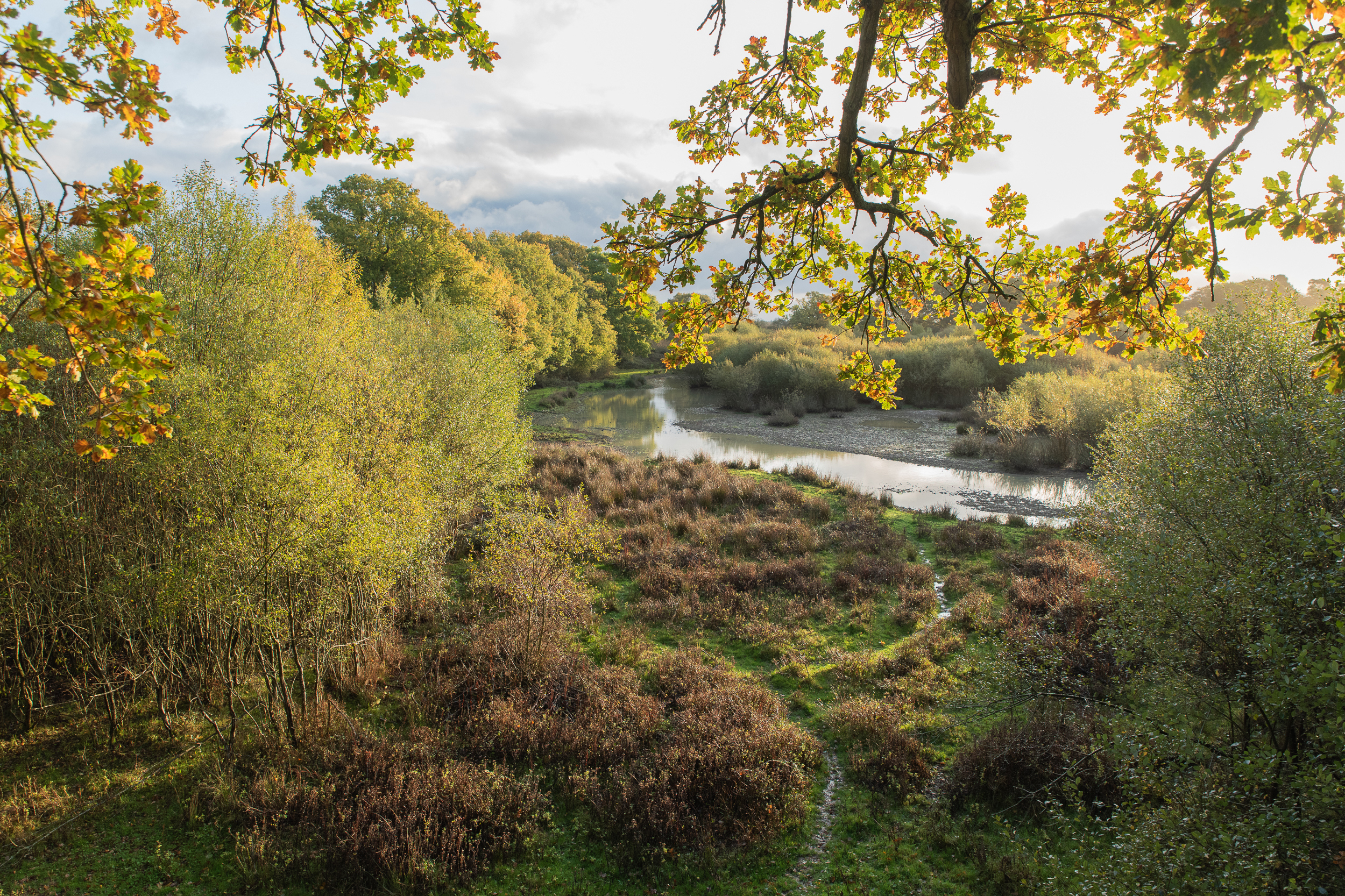 Rewilding Network | Rewilding Britain