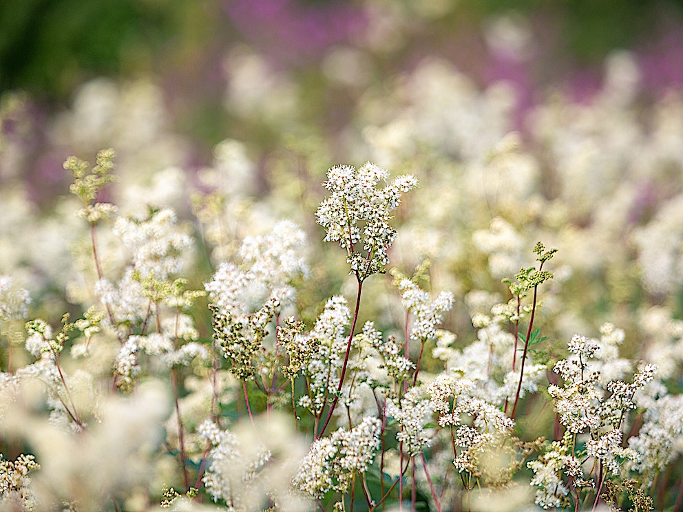 Mike erskine d46 Tw Bf Jf PY unsplash