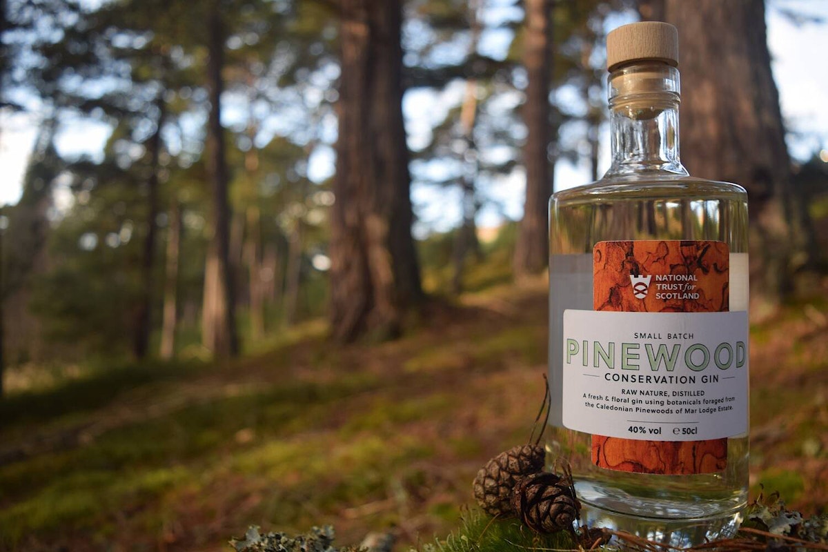 Pinewood Conservation Gin Mar Lodge