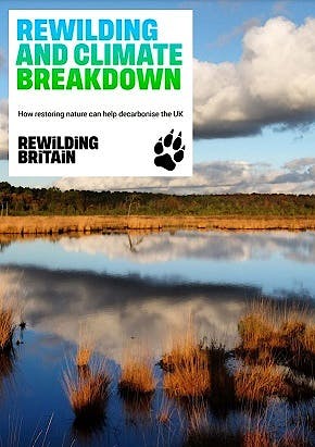 Rewilding and climate breakdown front cover thumnnail