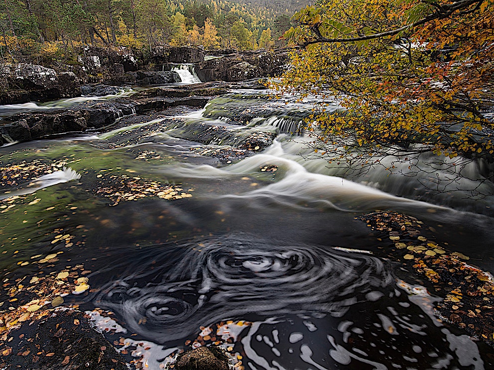Rewilding water