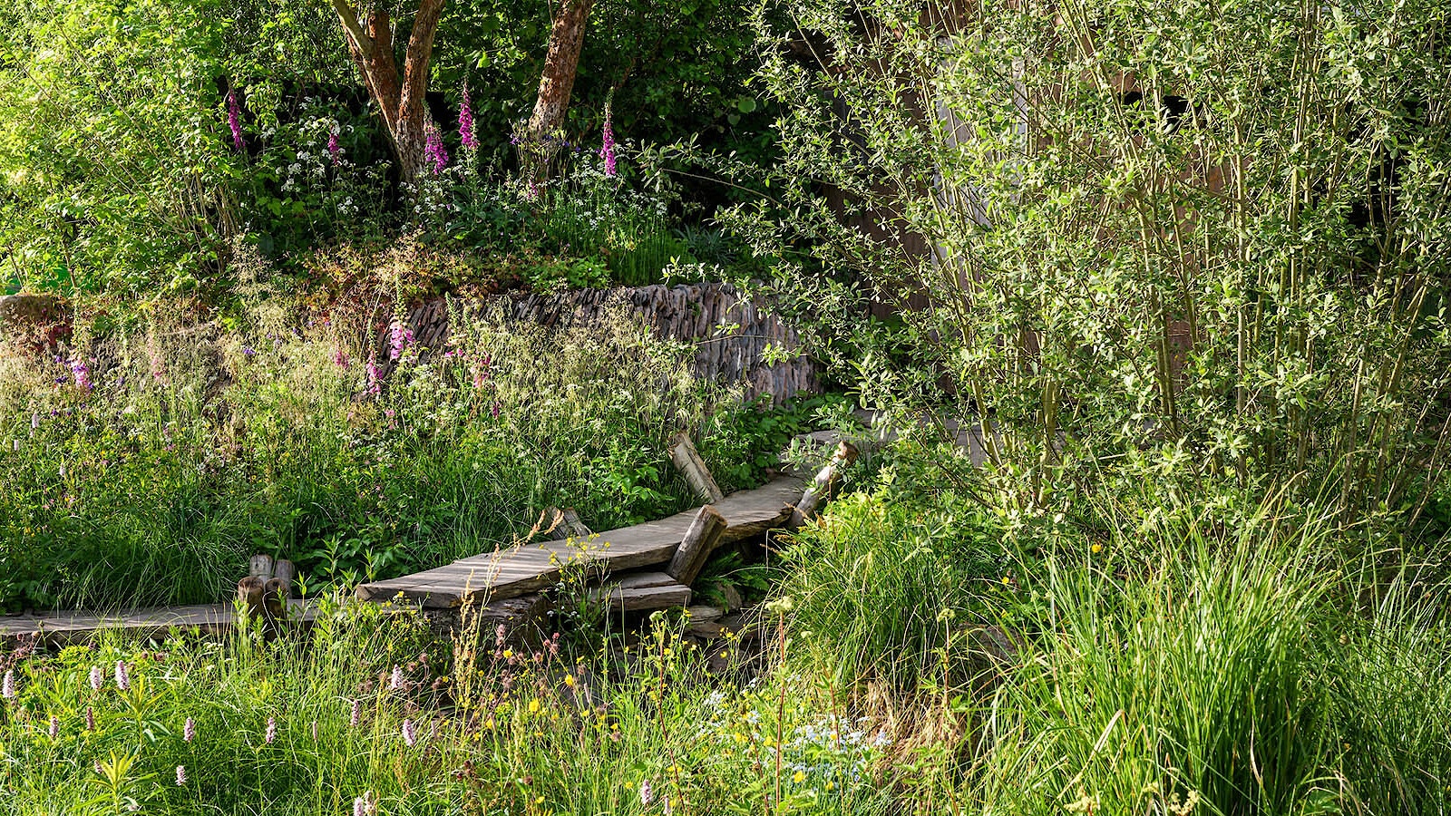 Rewilding britain chelsea 3