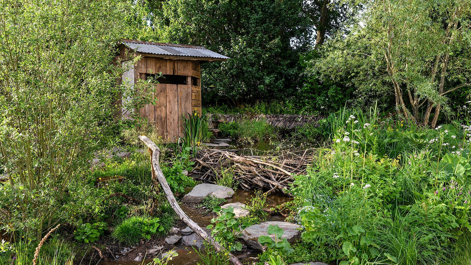 Rewilding britain chelsea 4