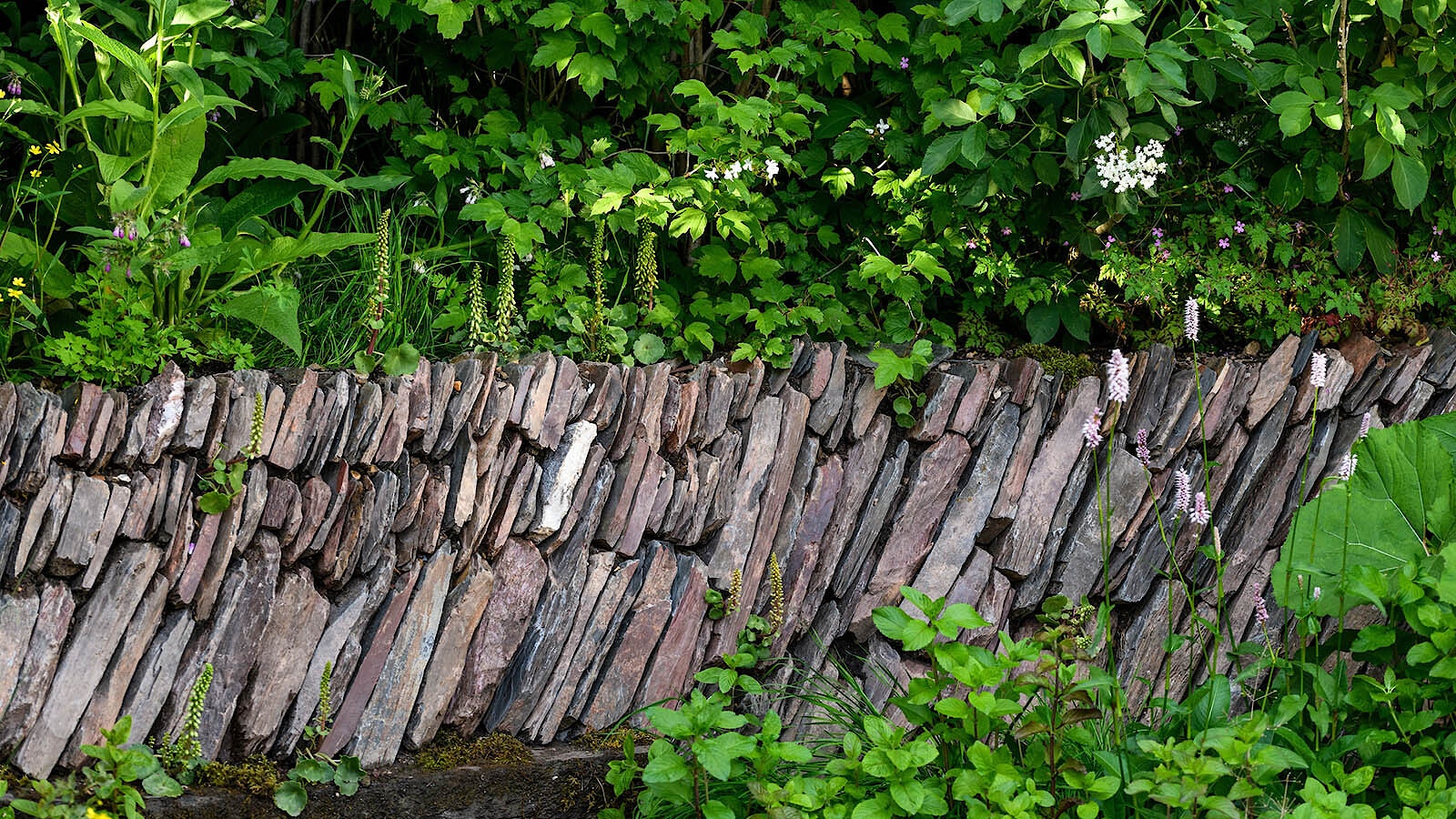 Rewilding britain chelsea 5