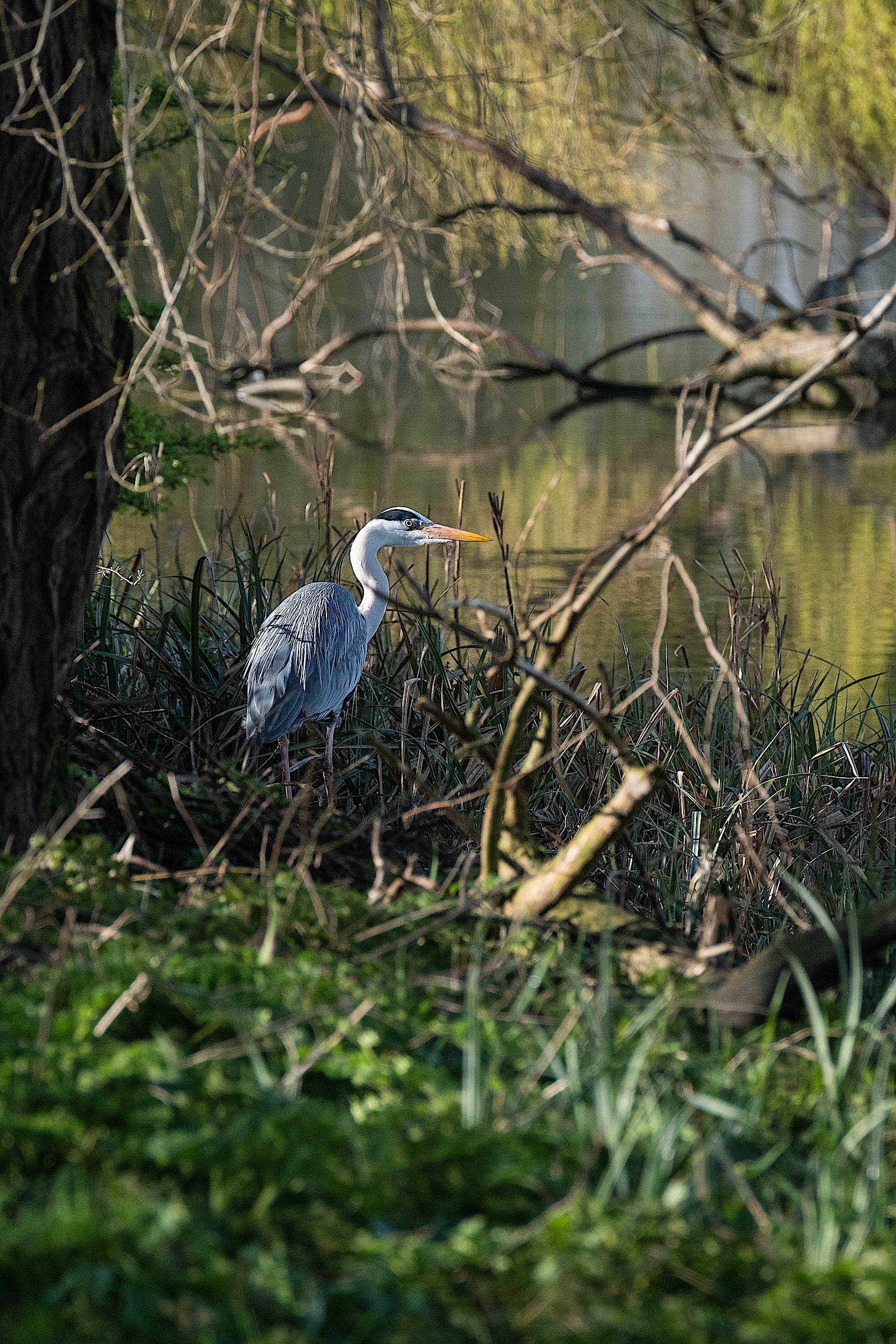 Roger bradshaw s2za QOHJ8 Y4 unsplash