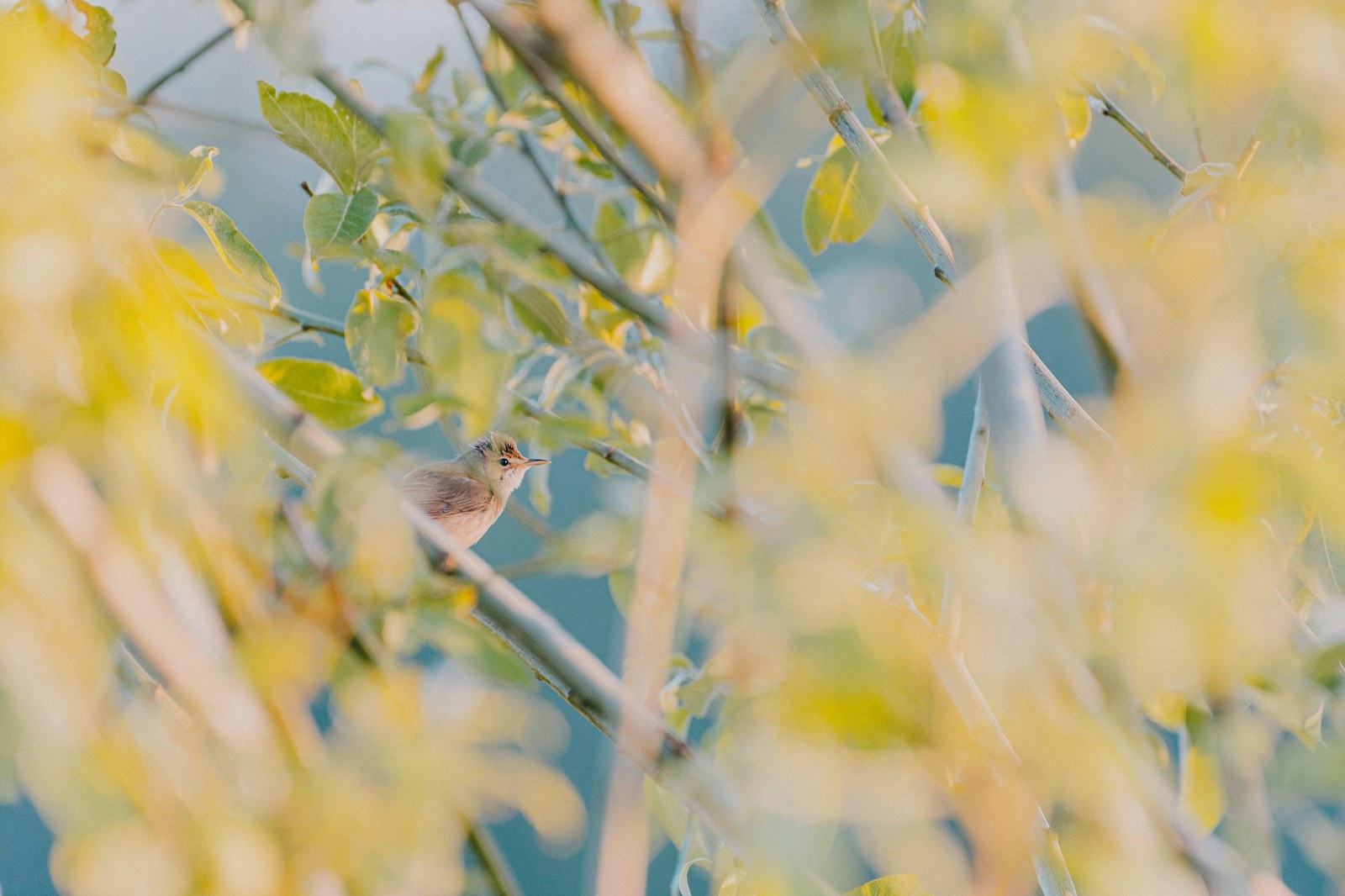Siim lukka V Rft1 y6 K6 M unsplash