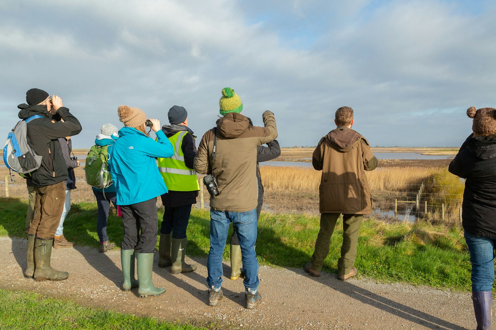 Steart marshes birdwatching