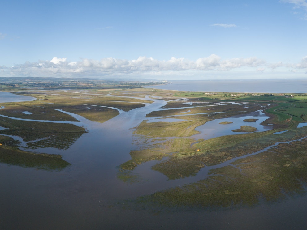 Steart marshes