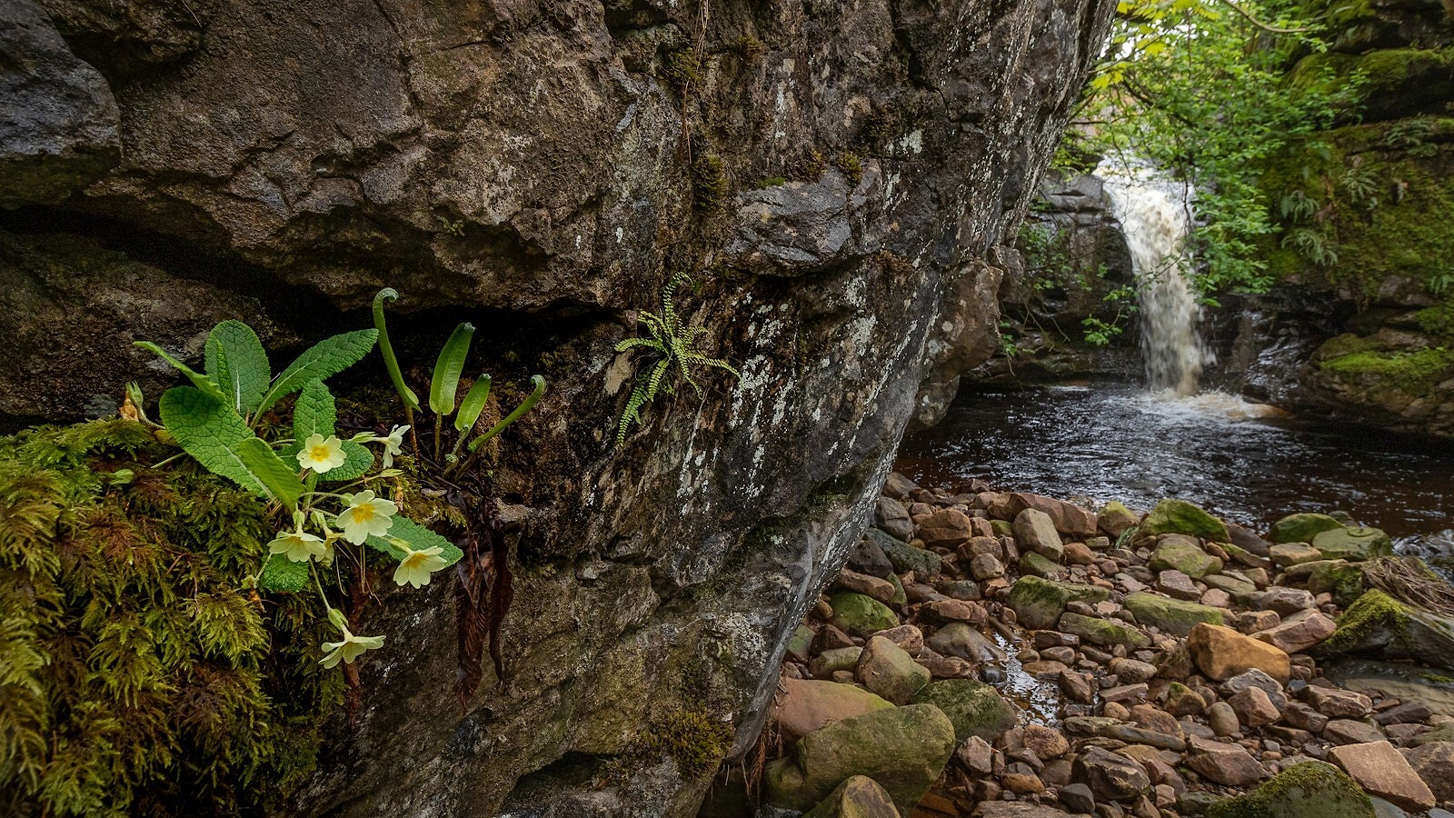 Water fall