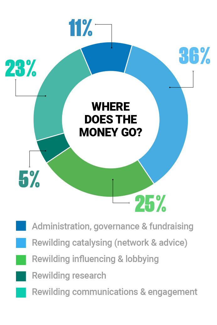 Our funding Rewilding Britain