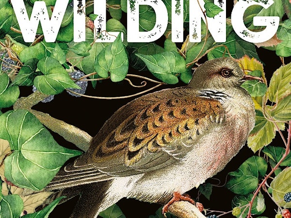 Wilding jacket eb0b04f8b1553016193d5bf4a2397fc2